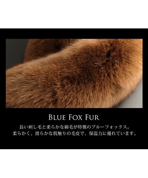 sankyoshokai(サンキョウショウカイ)/SAGA FURS シルバー フォックス ファー ストール カラー/img02