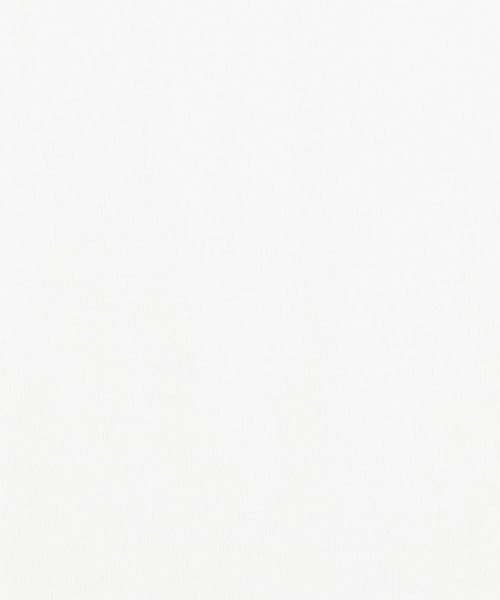 Rocky Monroe(ロッキーモンロー)/Tシャツ 半袖 刺繍 プリント カットソー メンズ レディース ビッグシルエット オーバーサイズ ゆったり ルーズ ワイド クルーネック TC天竺 カジュアル /img09