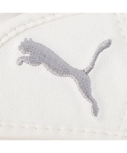 PUMA(PUMA)/メンズ ゴルフ フュージョン グリップ グローブ 2.0/img02