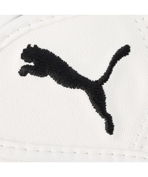 PUMA(PUMA)/メンズ ゴルフ フュージョン グリップ グローブ 2.0/img06