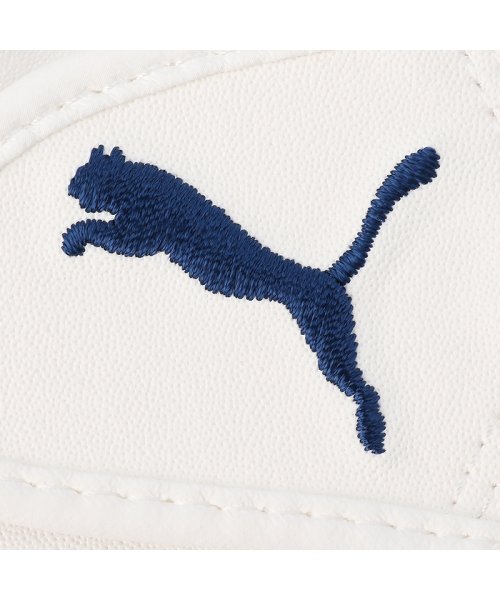 PUMA(プーマ)/メンズ ゴルフ フュージョン グリップ グローブ 2.0/img10