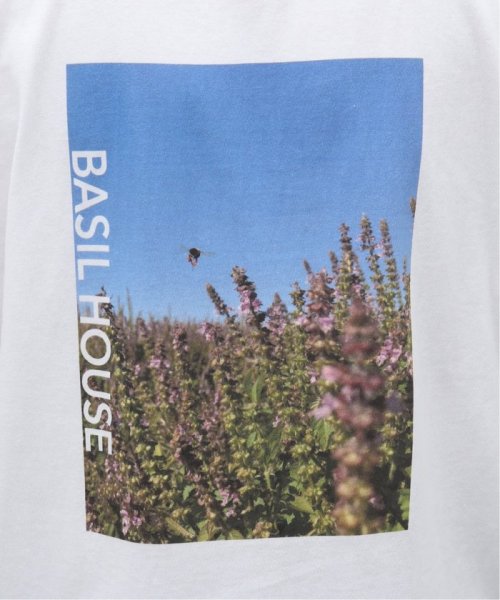 417 EDIFICE(フォーワンセブン　エディフィス)/【BASILHOUSE×417】グラフィック Tシャツ/img17