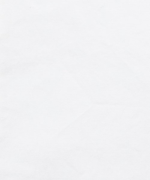 Rocky Monroe(ロッキーモンロー)/長袖シャツ メンズ レギュラーカラー チェック ストライプ 無地 カジュアル ビジネス ナノファイン加工 抗菌 制菌 防臭 総柄 きれいめ ブロード 綿100 /img04