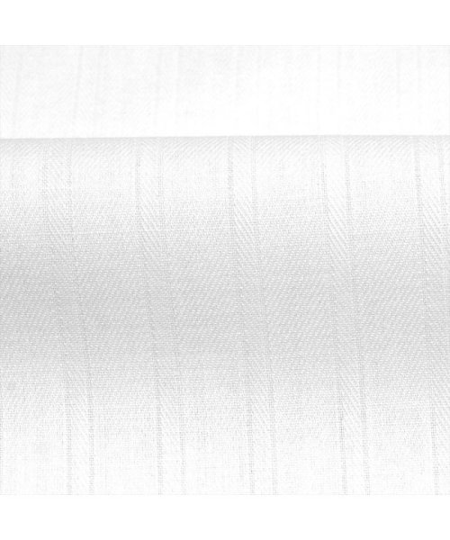 TOKYO SHIRTS(TOKYO SHIRTS)/【透け防止】 レギュラー衿 半袖 形態安定 レディースシャツ/img04