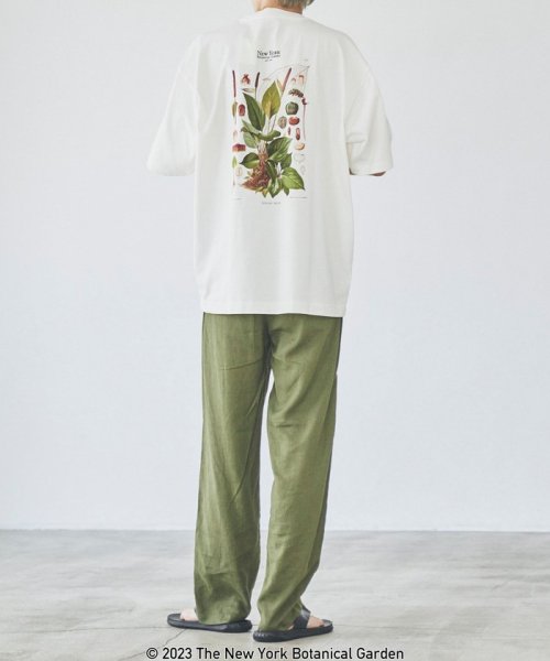 coen(coen)/NY　BotanicalGarden（ニューヨークボタニカルガーデン）プリントTシャツ/img06