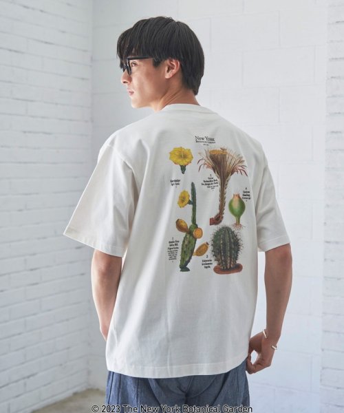 coen(coen)/NY　BotanicalGarden（ニューヨークボタニカルガーデン）プリントTシャツ/img09