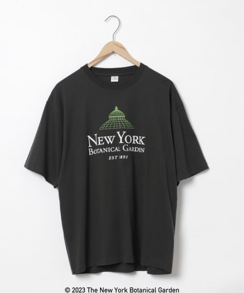 coen(coen)/NY　BotanicalGarden（ニューヨークボタニカルガーデン）プリントTシャツ/img15