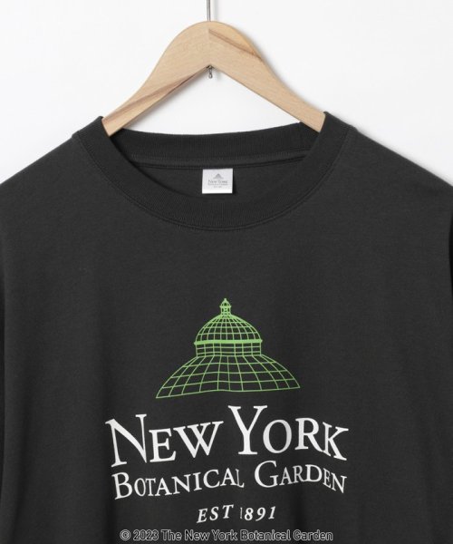 coen(coen)/NY　BotanicalGarden（ニューヨークボタニカルガーデン）プリントTシャツ/img16