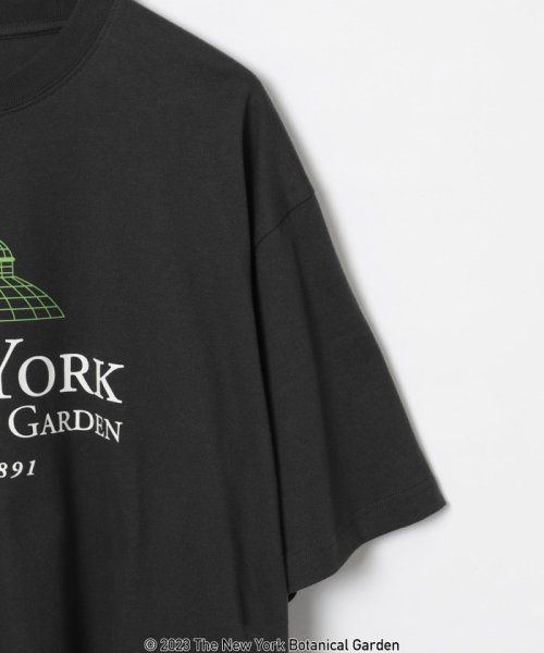 coen(coen)/NY　BotanicalGarden（ニューヨークボタニカルガーデン）プリントTシャツ/img17