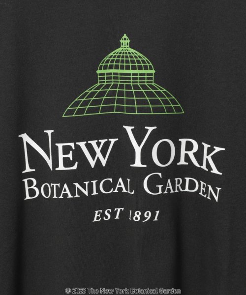 coen(coen)/NY　BotanicalGarden（ニューヨークボタニカルガーデン）プリントTシャツ/img20