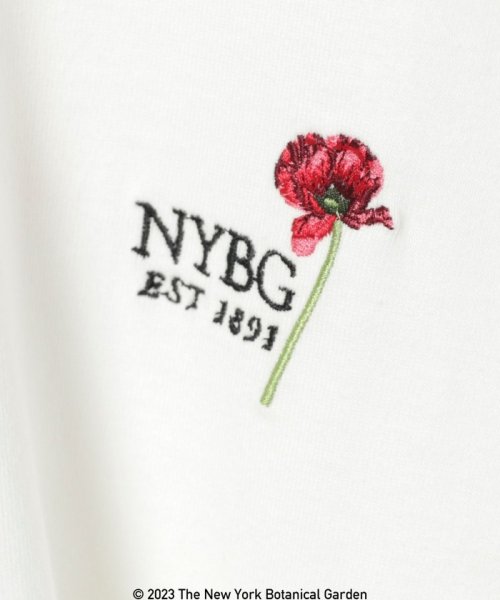 coen(coen)/NY　BotanicalGarden（ニューヨークボタニカルガーデン）プリントTシャツ/img22