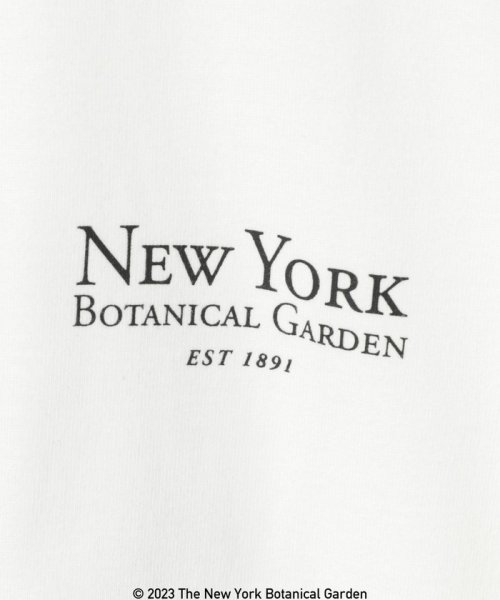 coen(coen)/NY　BotanicalGarden（ニューヨークボタニカルガーデン）プリントTシャツ/img24