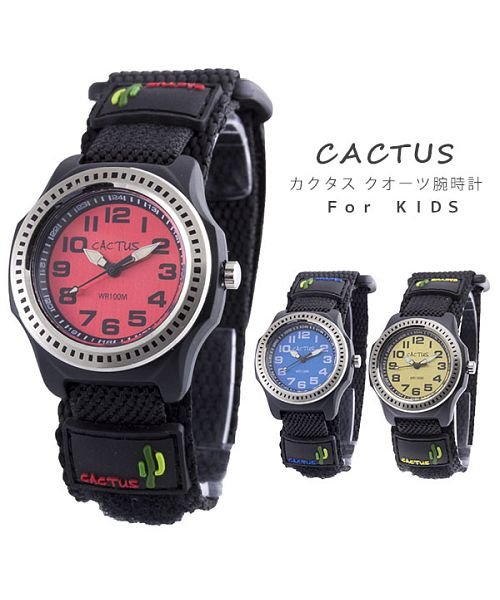 BACKYARD FAMILY(バックヤードファミリー)/CACTUS カクタス CAC－45 キッズ 腕時計/img01