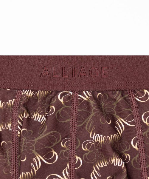 5351POURLESHOMMES(5351POURLESHOMMES)/ALLIAGE(アリアージュ)Boxer Briefs / ボクサーブリーフ //img06