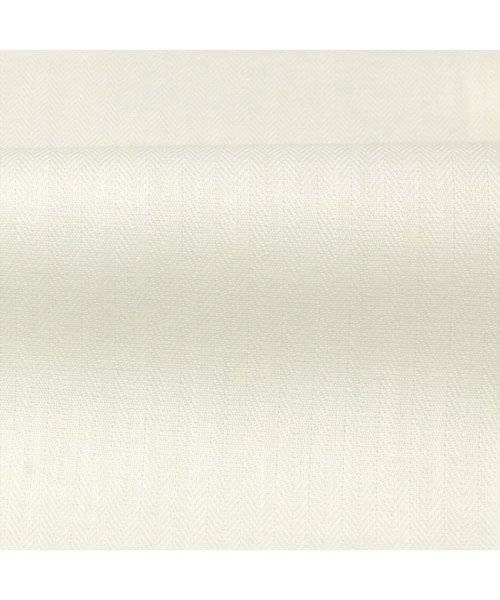 TOKYO SHIRTS(TOKYO SHIRTS)/形態安定 ワイド衿 半袖 レディースシャツ/img08