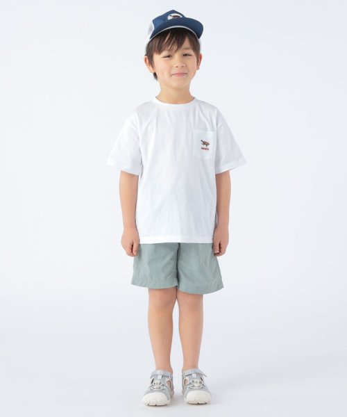 SHIPS KIDS:アニマル メッシュ キャップ