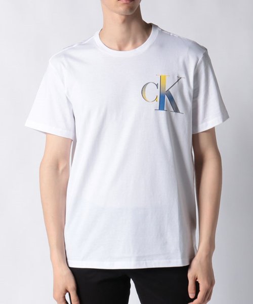 Calvin Klein(カルバンクライン)/【CALVIN KLEIN / カルバンクライン】ロゴ プリントT Tシャツ 半袖 40IC841 父の日 ギフト プレゼント 贈り物/img12