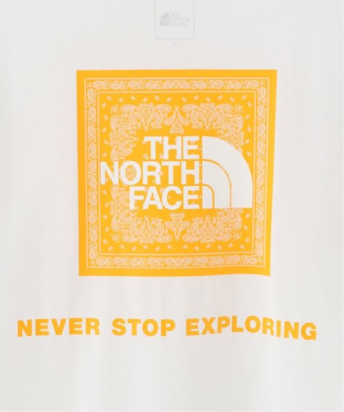 PULP(パルプ)/【THE NORTH FACE / ザ ノースフェイス】SS BANDANA SQUARE LOGO TE/img35