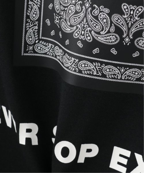 PULP(パルプ)/【THE NORTH FACE / ザ ノースフェイス】SS BANDANA SQUARE LOGO TE/img39