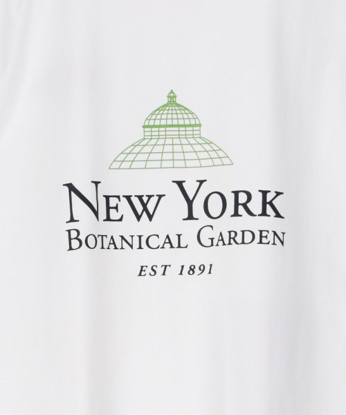 ADAM ET ROPE'(アダム　エ　ロペ)/【The New York Botanical Garden for ADAM ET ROPE'】NYBG PHOTO TEE/img20