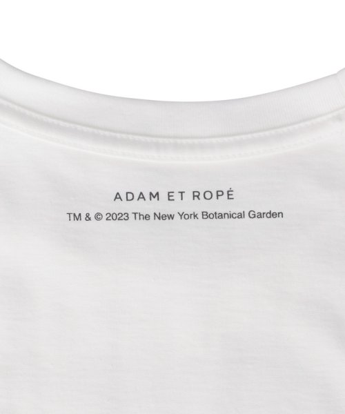 ADAM ET ROPE'(アダム　エ　ロペ)/【The New York Botanical Garden for ADAM ET ROPE'】NYBG PHOTO TEE/img21