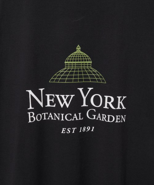 ADAM ET ROPE'(アダム　エ　ロペ)/【The New York Botanical Garden for ADAM ET ROPE'】NYBG PHOTO TEE/img16