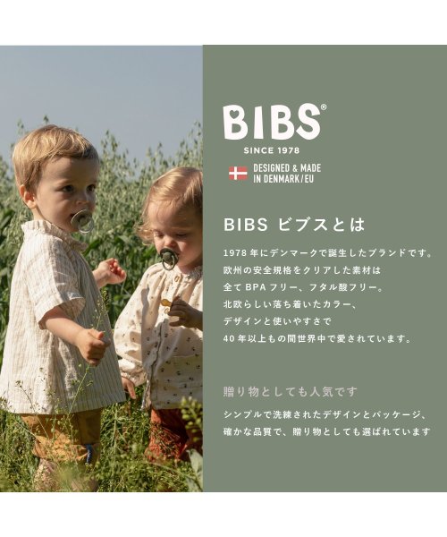 BIBS(ビブス)/BIBS おしゃぶり カラー １PK サイズ1/img02