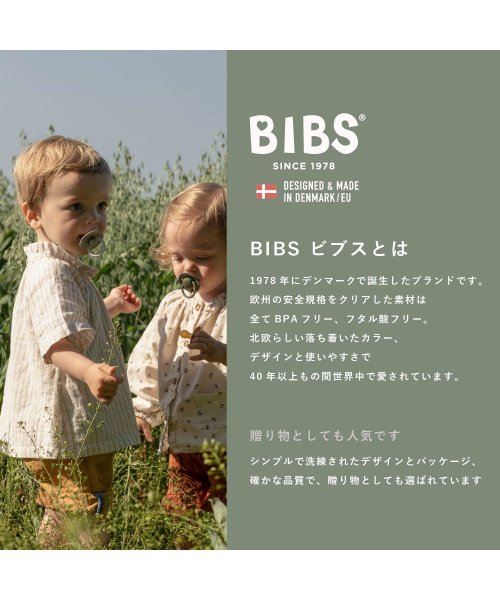 BIBS(ビブス)/BIBS おしゃぶり カラー 2PK サイズ1/img02