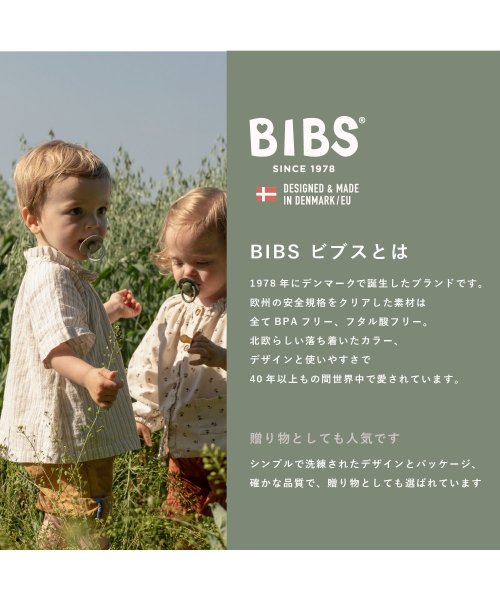 BIBS(ビブス)/BIBS おしゃぶり カラー 1PK サイズ2/img02