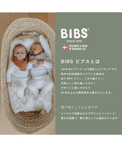 BIBS(ビブス)/BIBS おしゃぶり ボヘミ 2PK サイズ1/img02