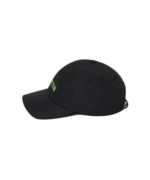 LHP(エルエイチピー)/VERUTUM/ヴェルタム/IVY ARCH LOGO SPORTS CAP/img02