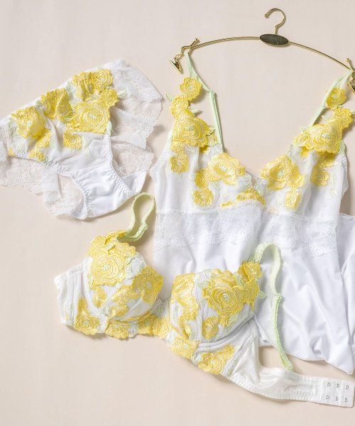 fran de lingerie(フランデランジェリー)/ゴージャス薔薇刺繍美しさも、機能も 「グレースイストグランデ バックレース」 バックレースショーツ/img20