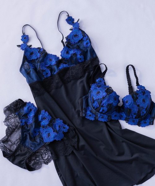 fran de lingerie(フランデランジェリー)/ゴージャス薔薇刺繍美しさも、機能も 「グレースイストグランデ バックレース」 バックレースショーツ/img21