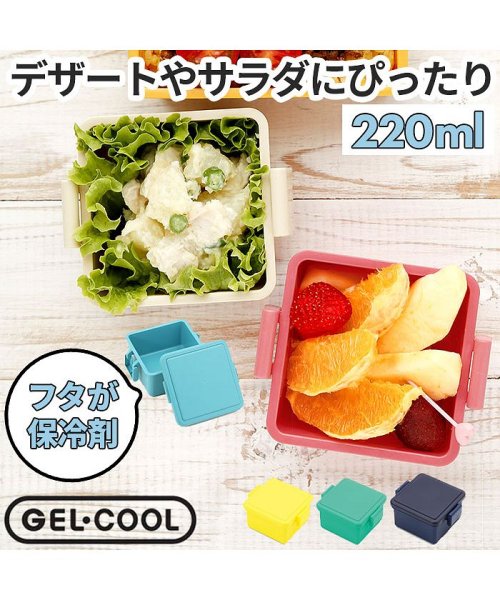 BACKYARD FAMILY(バックヤードファミリー)/GEL COOL square S 220ml/img01