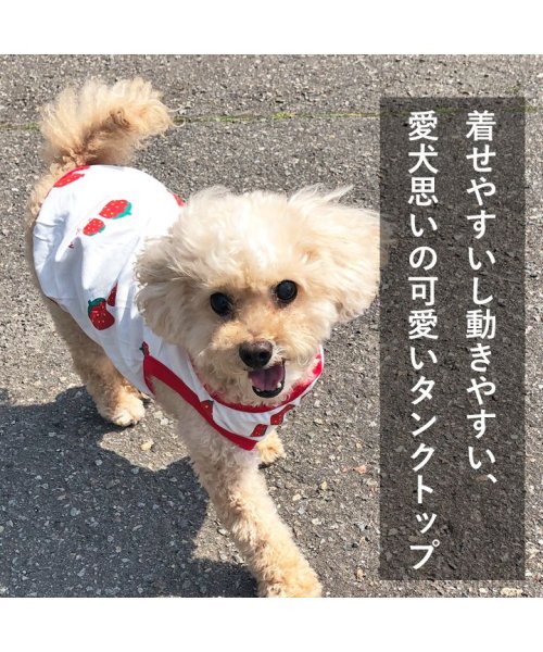 HAPPY DOG!!(はっぴーDOG！！)/犬 服 犬服 いぬ 犬の服 タンクトップ ノースリーブ 袖なし いちご イチゴ 【春 夏 春夏 春服 夏服 春物 夏物 春服】/img01