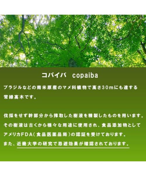 COLUMBUS(コロンブス)/コロンブス COLUMBUS その他 虫よけアメダス380ｍL/img02