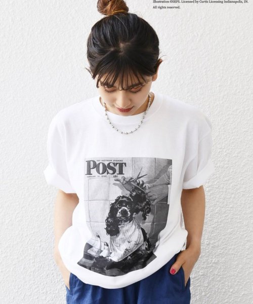 SHIPS any MEN(シップス　エニィ　メン)/SHIPS any: The Saturday Evening Post プリント Tシャツ◇/img05