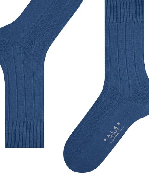 NOLLEY’S goodman(ノーリーズグッドマン)/【FALKE/ファルケ】14423 LHASA RIB SOCKS/img09