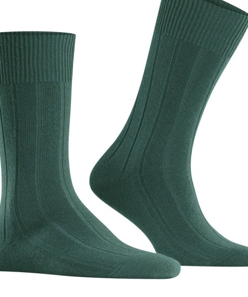 NOLLEY’S goodman(ノーリーズグッドマン)/【FALKE/ファルケ】14423 LHASA RIB SOCKS/img17