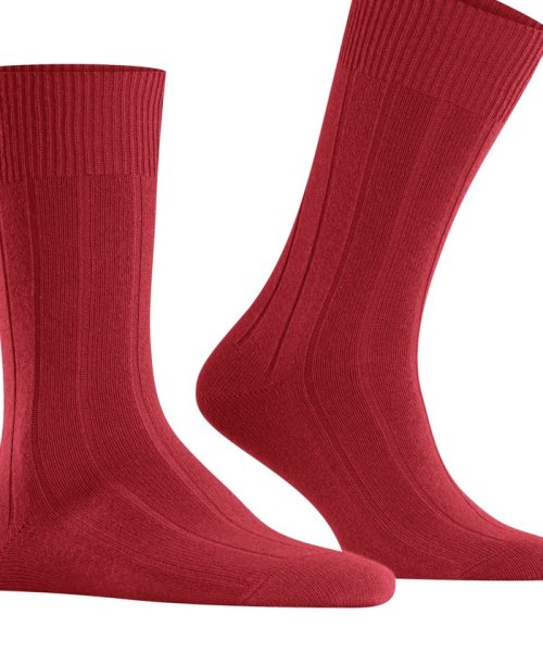 NOLLEY’S goodman(ノーリーズグッドマン)/【FALKE/ファルケ】14423 LHASA RIB SOCKS/img27