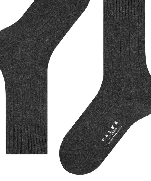 NOLLEY’S goodman(ノーリーズグッドマン)/【FALKE/ファルケ】14423 LHASA RIB SOCKS/img39