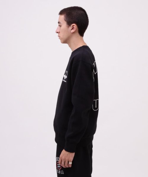 AVIREX(AVIREX)/VARSITY LOGO CREW NECK SWEAT /バーシティ ロゴ クルーネック スウェ/img04