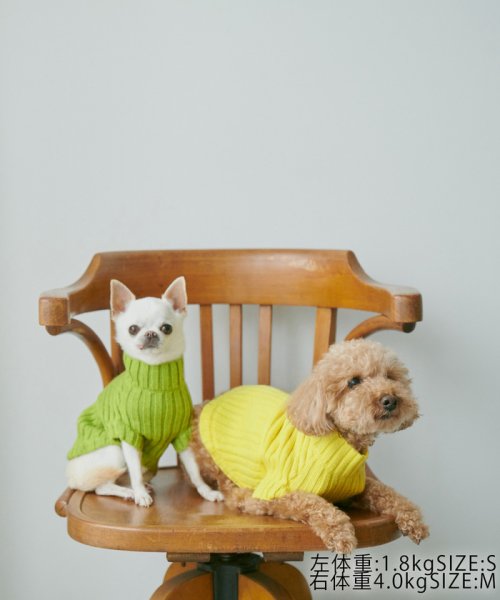 ROPE PICNIC PASSAGE(ロペピクニック パサージュ)/【CM着用商品】【DOG】【WEB限定カラー:ベージュ】リブ切り替えニットプルオーバー/リンクコーデ/img07