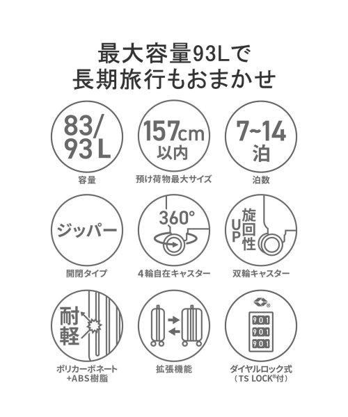 ACE(エース)/エース スーツケース ACE クレスタ キャリーケース 軽量 ace 83L 93L 拡張 大型 大容量 双輪 4輪 TSロック Lサイズ 06318/img05