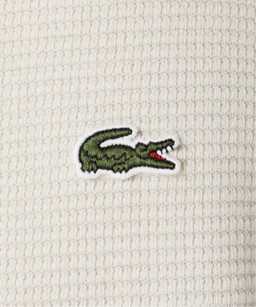 JOURNAL STANDARD relume Men's(ジャーナルスタンダード　レリューム　メンズ)/【LACOSTE / ラコステ】別注 オーバーサイズ  ヘビーピケ L/S Tシャツ/img64