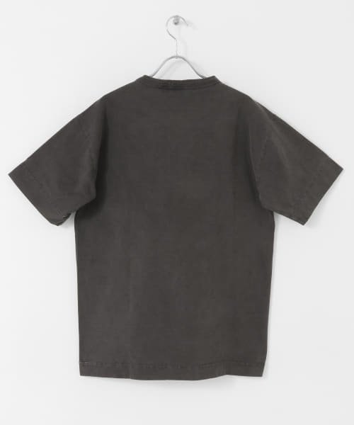 ITEMS URBANRESEARCH(アイテムズアーバンリサーチ（メンズ）)/Healthknit　MADE IN USA Henley－Neck T－shirts/img14