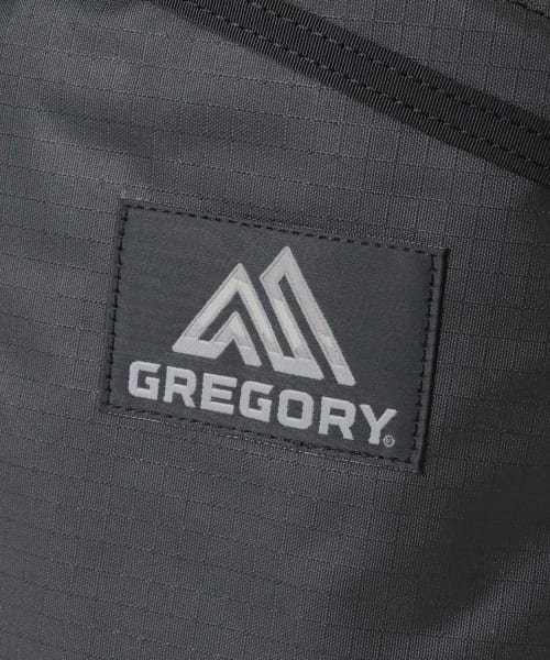 URBAN RESEARCH(アーバンリサーチ)/GREGORY　DAY PACK/img10