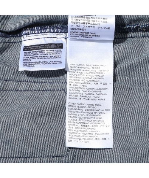 Levi's(リーバイス)/BUSH CARGO PANT AZUMA/img11