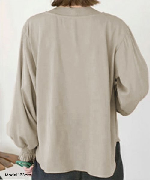 SEU(エスイイユウ)/シャーリング袖ブラウス トップス ゆったり 体型カバー 二の腕カバー オフィスカジュアル きれい目 韓国ファッション /img06