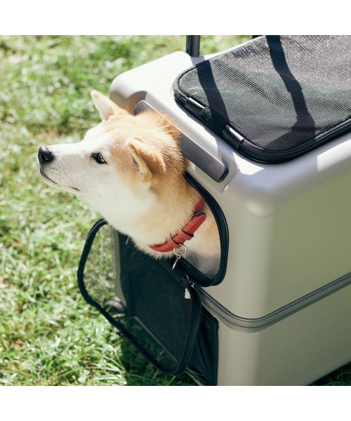 ペチコ PETiCO ペットキャリーカート ペットカート キャリーバッグ ケース 多頭 猫 中型犬 小型犬 ハードタイプ ストッパー機能 ペティコ iCO Lサ ペチコ PETiCO iCO